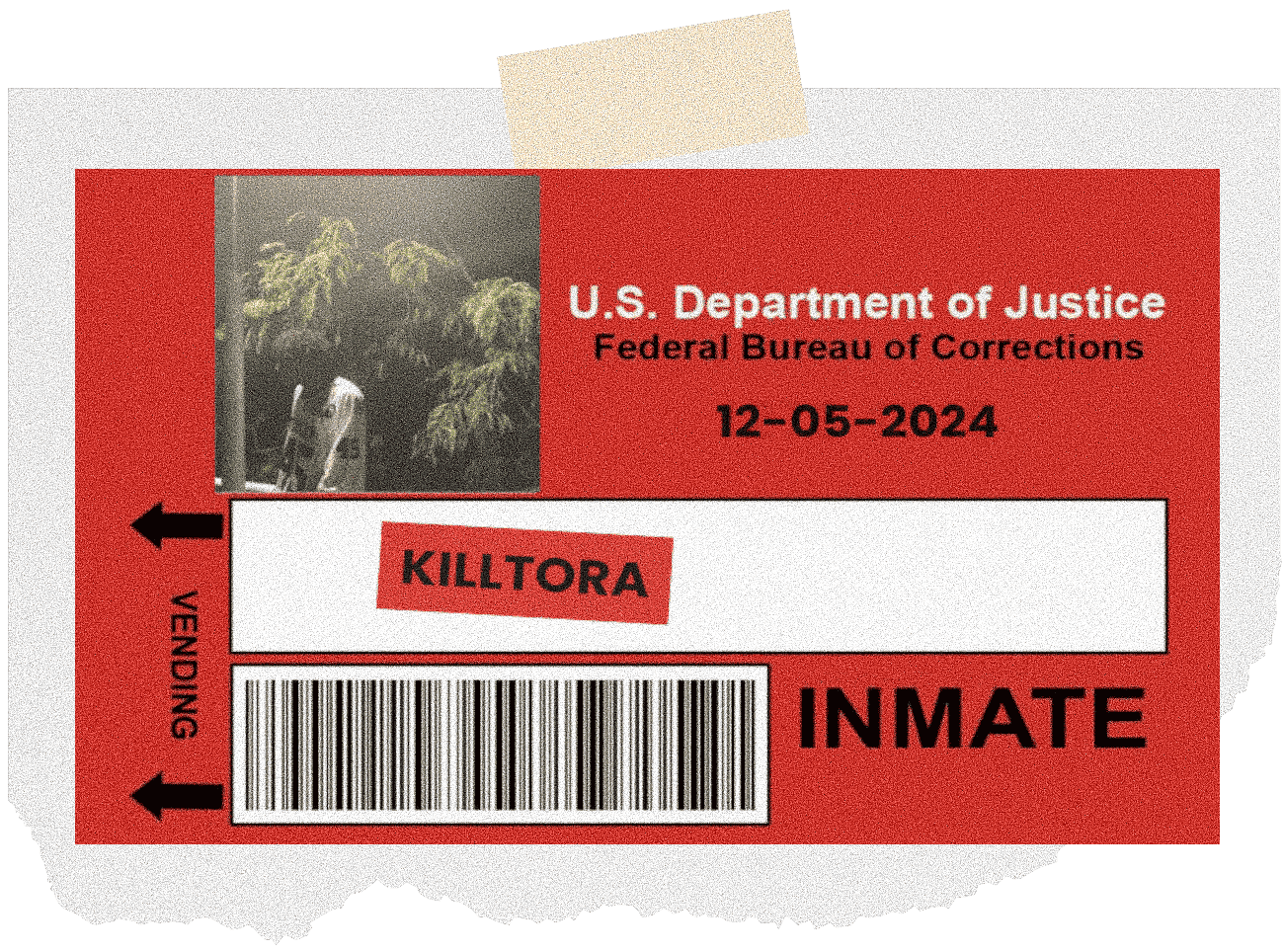 Killtora